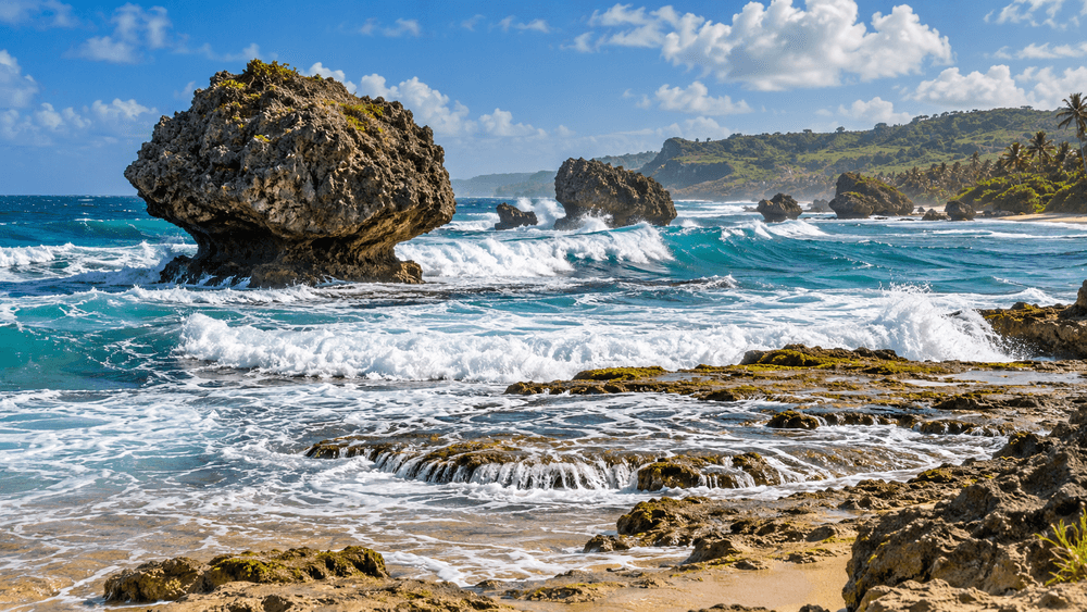 Bathsheba Barbados